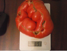 �������� ������