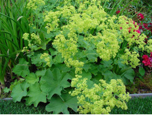 �������� ������ 70