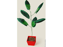 ����� ��������