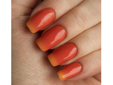 808-120 ���.jpg