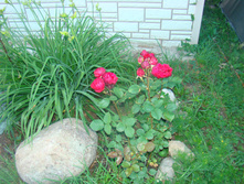 DSC05144 - �����.JPG