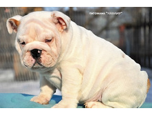 ������ 2 ������ 119.JPG