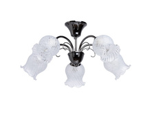 256019905 21000� (6000�).jpg