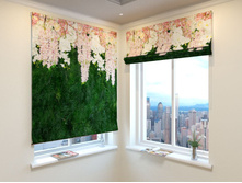 ������ ����.jpg