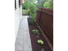 IMG 20160808 102509.jpg