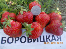 ��������� ���������� � �������� �� 6�� (����� ���������� �� 1��) 40���. �� 1 ������.jpg