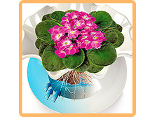 ��� ����7.jpeg