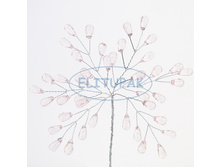 0410 ������� ������������ � ����������� ���� ������-������� (6 ��. � ����.) 55 ���.