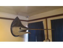 P 20160622 131222.jpg