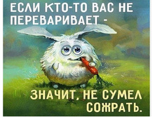 ������������?!