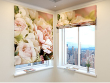 ����� �������� ����.jpg