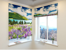 ������ �������.jpg