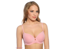 BF0483 ����������� ������