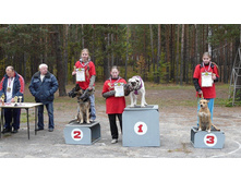 IMG 20160811 174513 82.jpg