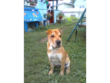 5 �������