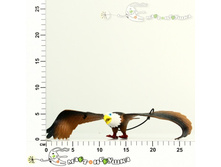 ��1628 ����� �������� BONDIBON ������� � �������� ����� 3���� 142,00.jpg