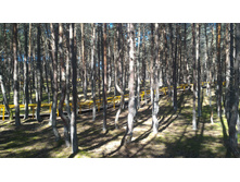 P 20160627 094407.jpg