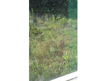 20160618 170325.jpg