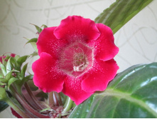 ����� 070.jpg