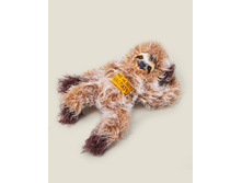 ������� ������� �� ���� �������