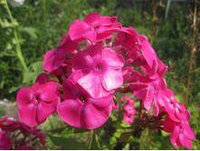 ����� 020.jpg