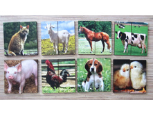 ��������-��������� "�������� ��������"_��� �010-2_176 ���.