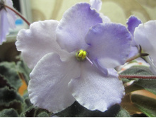 ���� 005.jpg