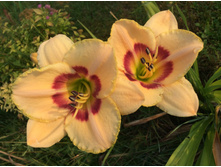 ����� ��??? ������ �� �������, ���ԣ� �������, ���� �������. �� ������ 4-� ��̣��� �� 120 �.