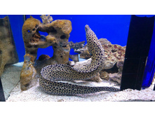 P 20160622 102238 DF.jpg