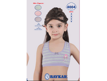 ������ 4004.png