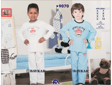 ������ 9070.png