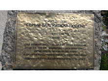 P 20160627 140627.jpg