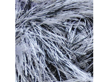 ����� � ������ 1366.jpg