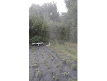 20160611 174724.jpg