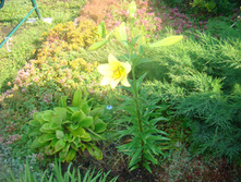 DSC05147 - �����.JPG