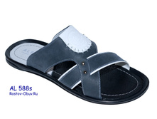 Al588s.jpg