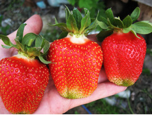 ��������� ���� 50���..jpg