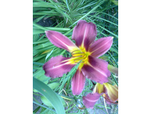 �������� �����.jpg