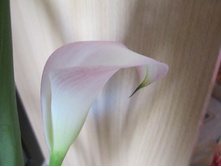 ������������ 001.jpg