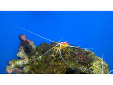 P 20160622 103048 DF.jpg