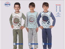 ������ 9074.png