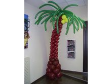 ���� ������.jpg