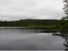 ��.�������