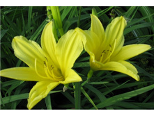 �������� �������.130