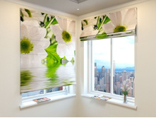 ����� �����.jpg