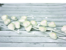 ������� �������� � �������� ������� � ���������, 38��	SCB3301743 75���