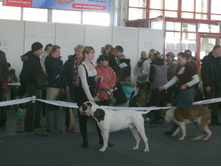 IMG 20160811 174333 47.jpg