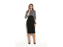 ������! 1295 �. (���� 1645 �.) DSP-242-4t