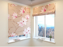 ����� �� ������.jpg