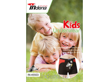 INDENA ������� ���ӣ�� ���������� ���.45503 -157 ���